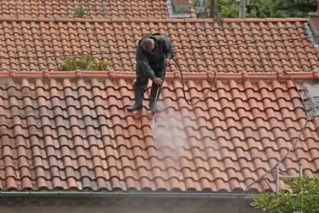 Nettoyage et démoussage de toiture à Moulon à Moulon